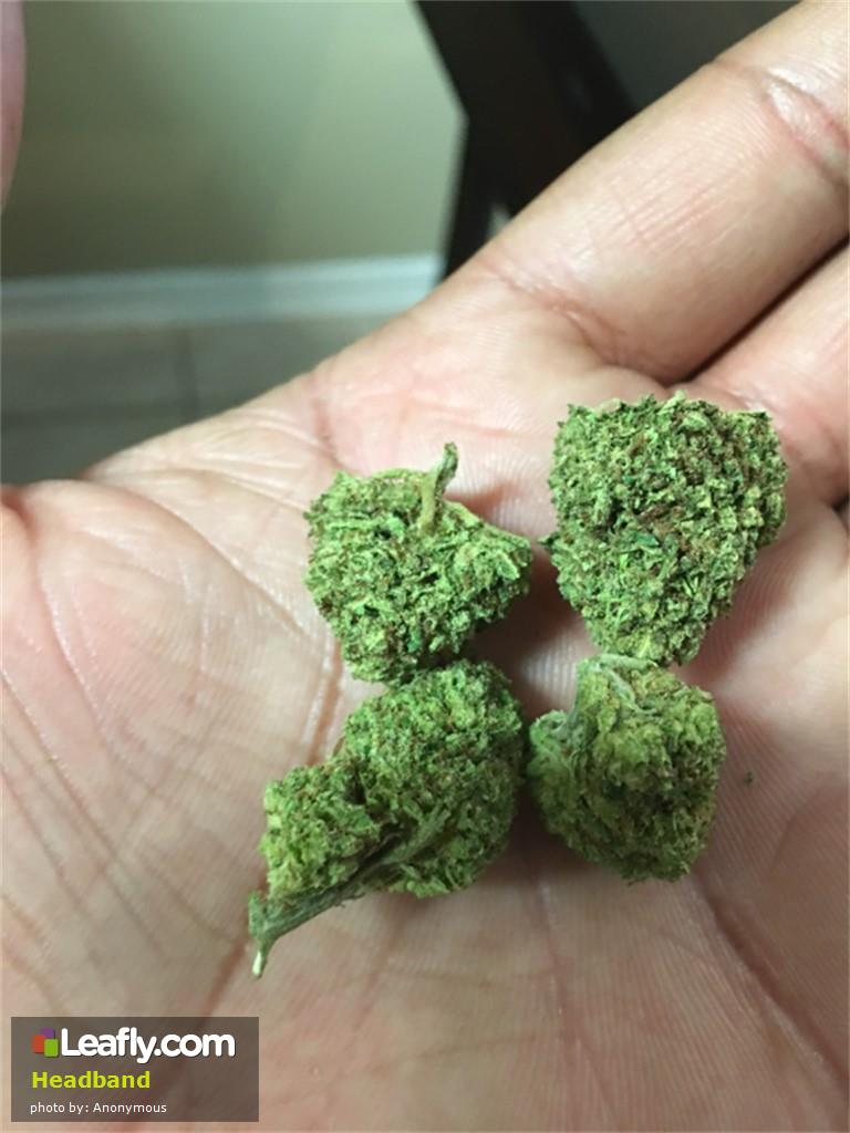 Best Marijuana Strains for Migraines ATTN